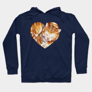 cat in love for valentine gift Hoodie